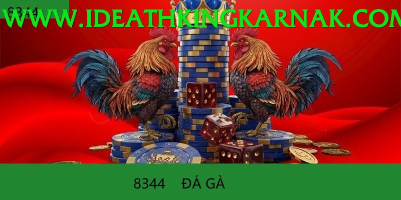 Đá Gà Trực Tiếp - Trải nghiệm tuyệt vời