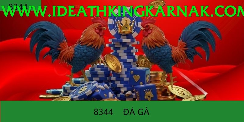 Đá Gà Trực Tiếp - Ưu đãi đặc biệt